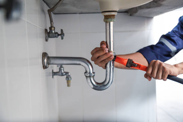 Best Plumbing Services Near Me  in Adams, WI